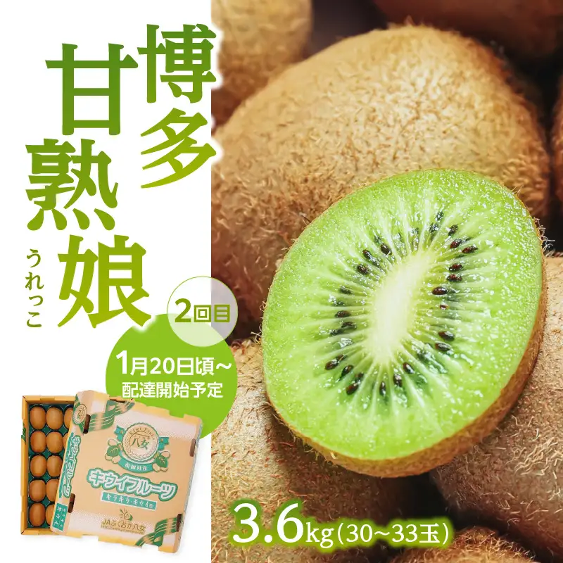 福岡冬の果物定期便【全3回】冬のお届け便　JAふくおか八女からお届け！！ みかん ミカン キウイ あまおう いちご 苺 イチゴ フルーツ 果物 くだもの 人気 旬 福岡県産 アフター補償 数量限定 期間限定 産地直送 全3回 定期便 福岡県 八女市 002-T001