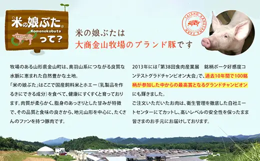米の娘ぶたカレー 180g×6袋 豚肉 ブランド豚 高級 冷凍 レトルト 小分け 6食 お手軽 東北 山形 金山町 F4B-0823