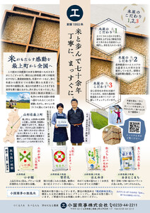 【令和7年産】無洗米　山形県産　つや姫2kg・雪若丸2㎏　少量食べ比べセット
