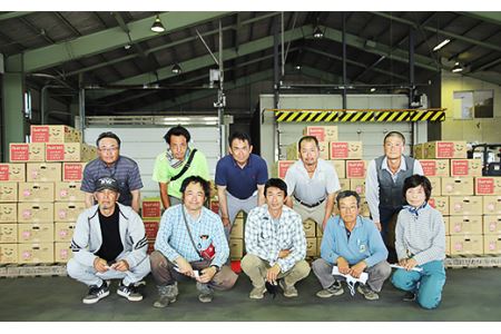 メロン 茨城県産 タカミメロン 約4.5kg 3～6個