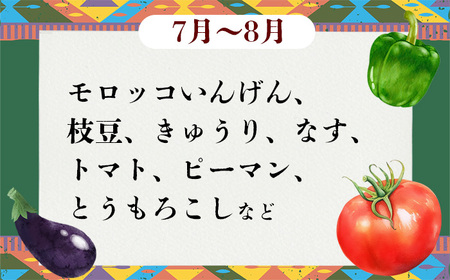 野菜 無農薬 農園自慢の情熱野菜セット 9品 【 12ヶ月 連続 お届け 】 