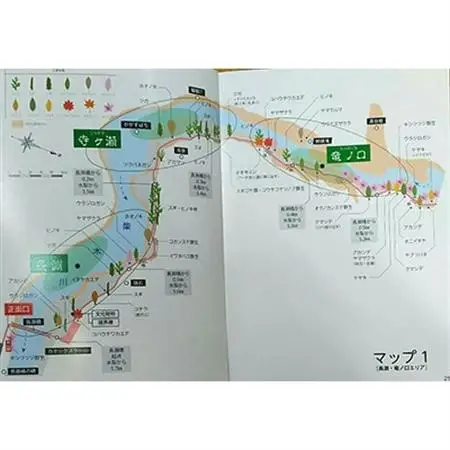 三段峡樹木・景観ガイドブック【1083409】