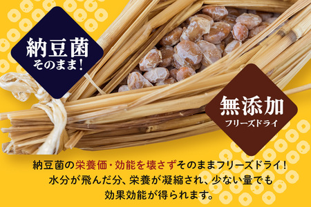 どらい納豆詰合わせセット 10種 納豆 詰め合わせ ドライ納豆 乾燥納豆 干し納豆 ダイエット ギフト 納豆ふりかけ 国産 おつまみ おやつ お菓子 おかし スナック 腸活 タンパク質 たんぱく質 小腹 ドライなっとう 常温 4-A