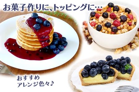 【数量限定】冷凍ブルーベリー 1kg 【6月下旬から順次発送予定】 9-I