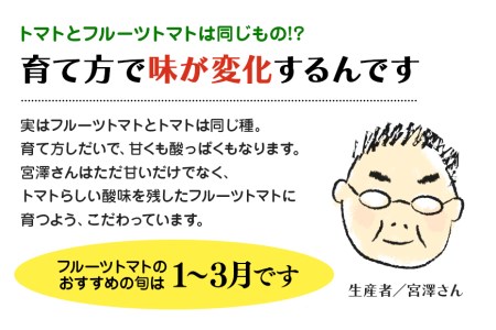 【数量限定 先行予約】＜2027年1月出荷開始予定＞ 爆音トマトと呼ばれるフルーツトマト「百里百」 2kg 甘い 酸味 肉厚 大玉 産地直送 とまと 健康 リコピン 百里基地 戦闘機 国産 茨城県 小美玉市 直売所 水耕栽培 野菜 やさい 一人暮らし 13-E