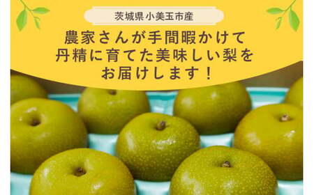 【数量限定 / 夏季限定】 梨（幸水） 約5kg 梨 なし ナシ 日本梨 こうすい コウスイ 17-C 【8月中旬～下旬発送予定】