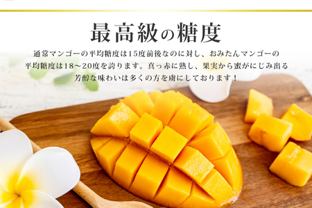 【数量期間・季節限定】 『グッド！モーニング』で紹介 おみたんマンゴー約450g 数量限定 期間限定 先行予約 完熟 マンゴー 国産フルーツ 果物 くだもの 【7月20日～8月末まで順次発送予定】 19-D