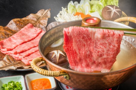 訳あり 博多和牛 A4以上 しゃぶしゃぶ すき焼き スライス 250g & 切り落とし 500g 計750g【部位おまかせ】/ MEAT PLUS / 福岡県 筑紫野市 [21760211]