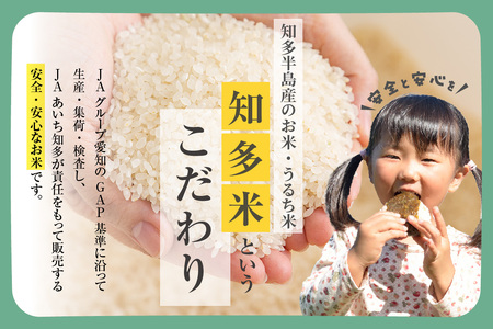 知多米 こしひかり5kg お米 白米 うるち米 おこめ 国産 精米 ご飯 おにぎり 朝ごはん ライス 和食 日本食 主食 食卓 お弁当 コシヒカリ 甘み 粘り 知多半島 お取り寄せ 5キロ 愛知県 知多市 特産品