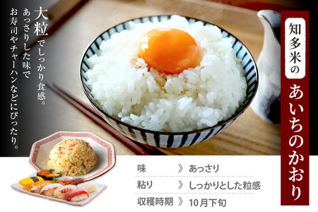 知多米 あいちのかおり5kg お米 白米 うるち米 おこめ 国産 精米 ご飯 おにぎり 朝ごはん ライス 和食 日本食 主食 食卓 お弁当 大粒 つや あっさり 食品 知多半島 お取り寄せ 5キロ 愛知県 知多市 特産品