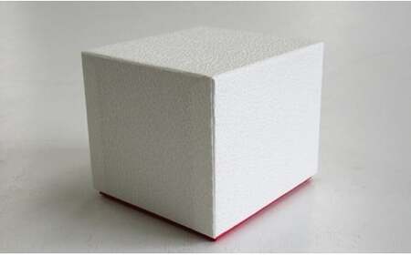 ARITA PORCELAIN LAB (アリタポーセリンラボ) 吉祥小皿5枚セット 有田焼 おめでたい カラフル A23-5