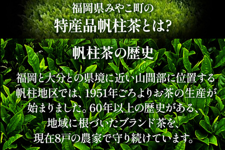 ＜銘茶みやこ町特産・帆柱茶＞特選（100g×3袋）福岡県 お茶 日本茶 緑茶 お土産 伝統 茶葉