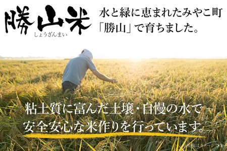 令和7年産 夢つくし 勝山米 種類を選べる ＜特別栽培 勝山米5kg＞ 福岡県産 特別栽培米