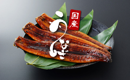 うなぎ 蒲焼き 白焼き 食べ比べセット 計800g (各200g×2尾×2回) 