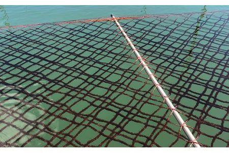 佐賀海苔 焼き海苔・塩海苔セット
