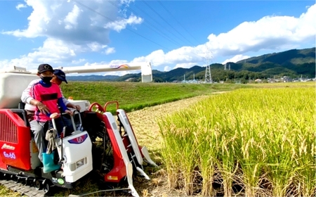 【令和7年産】白米 倉敷市産 ヒノヒカリ10kg【2026年7月上旬迄順次発送予定】【お米 米 おこめ こめ コメ 白米 ヒノヒカリ 特産品 国産 岡山県倉敷市産 岡山県 倉敷市 人気 おすすめ】