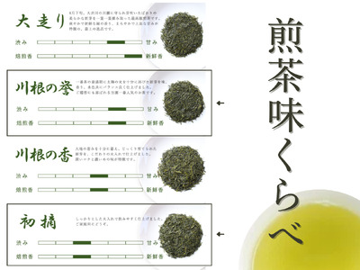 6-7 厳選川根茶 ２種おすすめセット