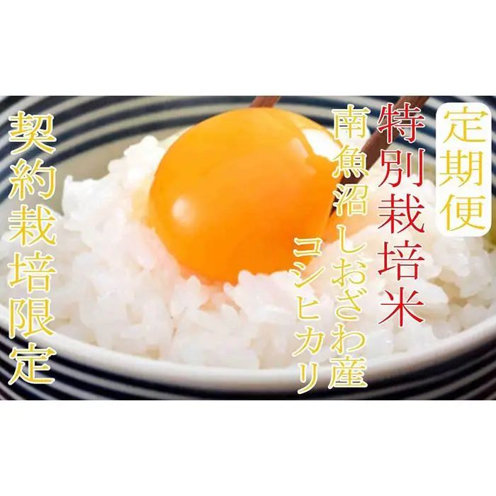 【令和7年産】※定期便：２Kg×12ヶ月※特別栽培 生産者限定  南魚沼しおざわ産コシヒカリ【定期便 銘柄米 ブランド米 精米 こしひかり コシヒカリ 魚沼産 新潟米 産地直送 お米 米 こめ コメ ご飯 御飯 ごはん】