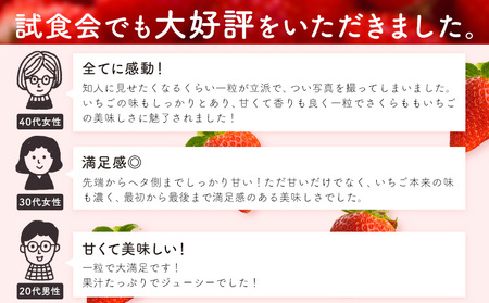 さくらももいちご 4パック 佐那河内村限定いちご