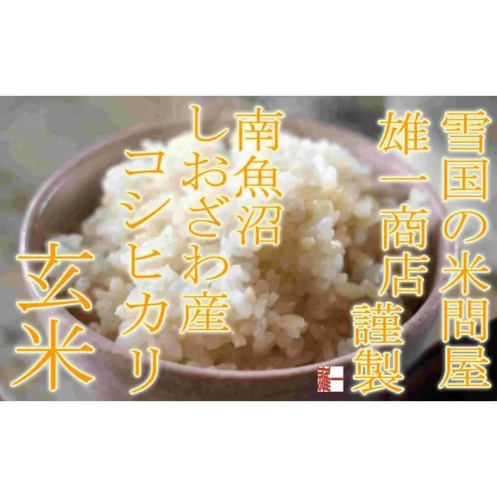 【令和7年産】●玄米● 【定期便10Kg×12ヶ月】 生産者限定 南魚沼しおざわ産コシヒカリ【定期便 銘柄米 ブランド米 玄米 こしひかり コシヒカリ 魚沼産 新潟米 産地直送 お米 米 こめ コメ ご飯 御飯 ごはん】