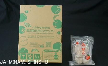 J17　昔ながらの市田柿　約170ｇ×4袋