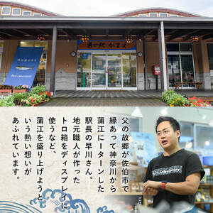 冷凍 生トコブシ (500g) 貝 魚介類 海鮮 小分け 冷凍 真空 おつまみ 惣菜 大分県 佐伯市 道の駅かまえ【EL14】【(株)蒲江創生協会】