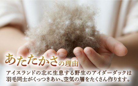 【セミダブル】【至福の寝ごこち】 羽毛布団 肌掛け アイダーダウン×綿100％（ホワイト・精紡交撚）《壱岐市》【富士新幸九州】 [JDH084] アイダーダウン 布団 ふとん 綿100％ 肌掛け ダウンケット 掛布団 掛け布団 セミダブル