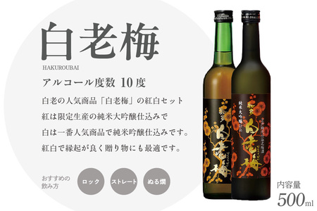 知多の梅酒「白老梅」純米吟醸、純米大吟醸のセット お酒 リキュール アルコール 佐布里梅 梅酒 澤田酒造 特産品 贈り物 ギフト 飲み比べ 晩酌 宅飲み 家飲み 純米吟醸 大吟醸 白老梅 愛知県 知多市