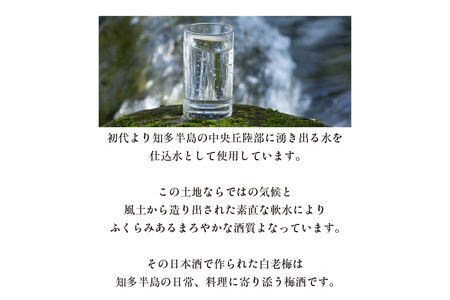 知多の梅酒「白老梅」純米大吟醸　2本セット お酒 リキュール 佐布里梅 梅酒 澤田酒造 特産品 贈り物 ギフト 晩酌 宅飲み 家飲み 純米大吟醸 白老梅 日本酒 高級 愛知県 知多市