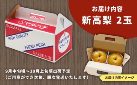 【2026年9月中旬?発送】【シャリッと食感がたまらない！】新高梨 2玉 / 梨 なし 南島原市 / ふるさと企画 [SBA007]
