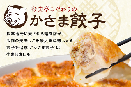 【2カ月 定期便 】彩美亭 かさま 餃子 常陸の輝き・ローズポークセット HV-010
