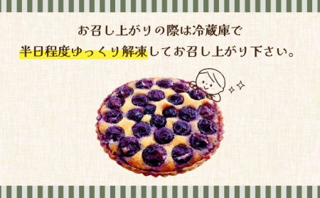 【2026年8月中旬-発送】【予約制のタルト専門店】焼き葡萄のタルト / ぶどう タルト たると ケーキ タルトケーキ スイーツ デザート / 南島原市 / アトリエジジ [SAA001]