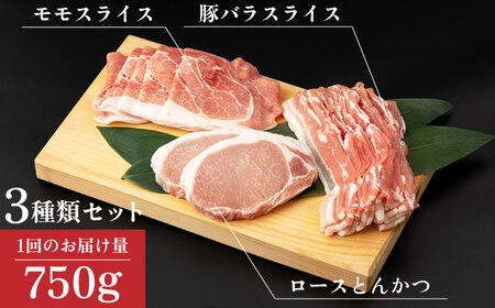 【12回定期便】SPF豚 やっちゃおいしか芳寿豚バラエティセット 計750g / 豚肉 定期便 ほうじゅとん SPF豚 spfポーク 小分け バラ しゃぶしゃぶ / 南島原市 / 芳寿牧場 [SEI013]