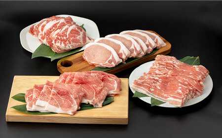 【12回定期便】豚肉 バラエティ豚肉セット 芳寿牧場 [SEI022] 