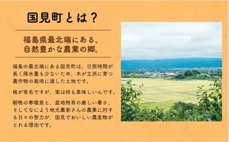 ◆2026年秋発送◆＜ 種無し柿（樹上脱渋）・約5kg ＞ ※2026年10月下旬～11月下旬頃に順次発送予定