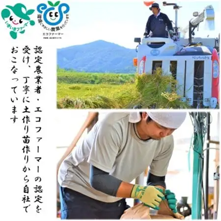 令和7年産　茨城県産コシヒカリ「寿米流(すまいる)」5kg_ 精米 米    コシヒカリ 米 こしひかり_【1130992】
