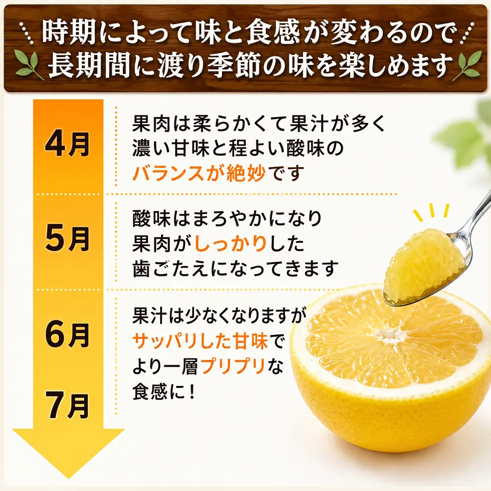 プレミアム 河内晩柑 5kg 河内晩柑 清家ばんかんビレッジ