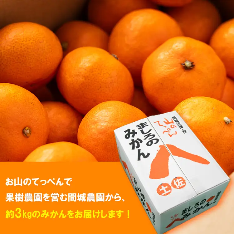 山のてっぺん間城農園のみかん 3kg【みかん 山のてっぺんみかん 間城農園みかん 甘いみかん みかん 山北地区のみかん 香南市】 ms-0083