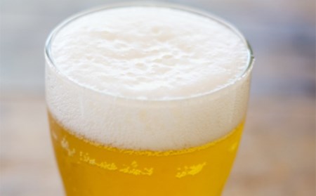 《冷蔵便》山形ビール ピルスナー 330ml×12本 F2Y-4248