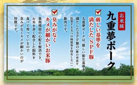 大分県産 ブランド牛 ・ 豚 豊後牛 × 九重夢 ポーク 切り落とし 1.35kg セット