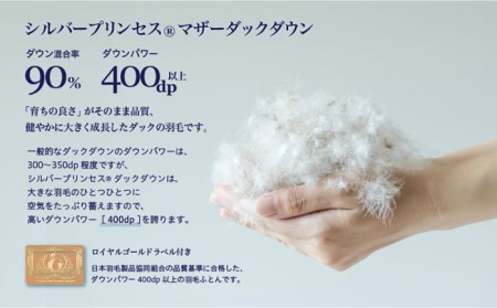 【訳あり】羽毛布団 ダブル マザーダックダウン90% 1.6kg (色柄おまかせ) [JDH089]