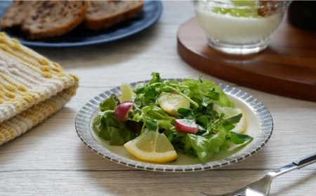 【美濃焼】MALREマルレ 食器6点セット クリーム【EAST table】 [MBS078]