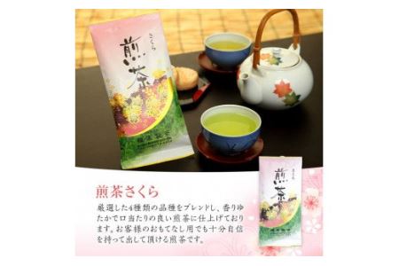 No.014 煎茶セット(雅)【世献 榎園製茶】