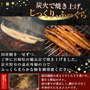 No.198 鹿児島県産鰻の味わいセット！うなぎの炭火蒲焼(1尾・タレ付)＆うなぎ炭火白焼き(1尾・生わさび付)自慢の出汁巻き卵付き！ 国産 九州産 鰻 ウナギ うな重 うな丼 蒲焼 白焼き 卵焼き 出汁巻き 出汁巻きたまご 炭火焼 おかず お土産 セット冷凍【家むら】