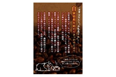 No.205 自家焙煎コーヒー 飲みやすいオリジナルブレンド♪海夢珈琲(マリンコーヒー) ＜コーヒー粉＞ (200g×3袋 計600g)飲料 コーヒー コーヒー粉 自家焙煎 ブレンドコーヒー オリジナルブレンド 常温保存【HARU工房】