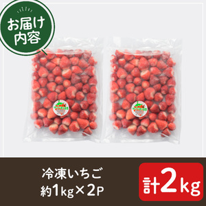 No.298 冷凍いちご(計約2kg・約1kg×2) 国産 九州産 苺 いちご イチゴ 冷凍 果物 フルーツ 減農薬 アイス【片平観光農園】
