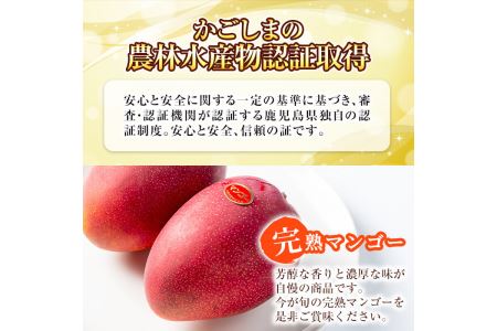 No.471 ＜先行予約受付中！2026年5月中旬から発送＞《期間・数量限定》完熟マンゴー2玉入り及び3玉入り(約950g以上)国産 九州産 フルーツ マンゴー ギフト 贈答 数量限定【さつま日置農協北部営農センター】