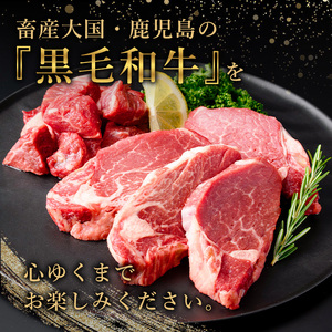 黒毛和牛ヒレステーキ 440g 鹿児島県産 2種 (220g×2P) 【カミチク】 No.546