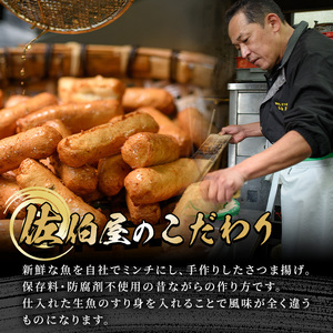 さつま揚げ セット 5種 計30～32個 さつまあげ 【佐伯屋】2026年6月発送分 平日着 No.588-01