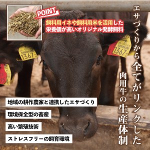 No.611 鹿児島県産黒毛和牛肩ローススライス(計600g・200g×3P)国産 九州産 牛肉 黒毛和牛 和牛 国産牛 スライス ロース 肩ロース すき焼き しゃぶしゃぶ 小分け 冷凍【LRプラスK】